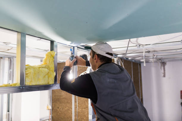 Best Cellulose Insulation  in Holts Summit, MO