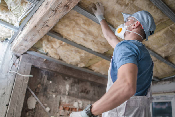 Best Insulation Repair Services  in Holts Summit, MO