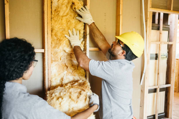 Best Insulation Replacement Services  in Holts Summit, MO