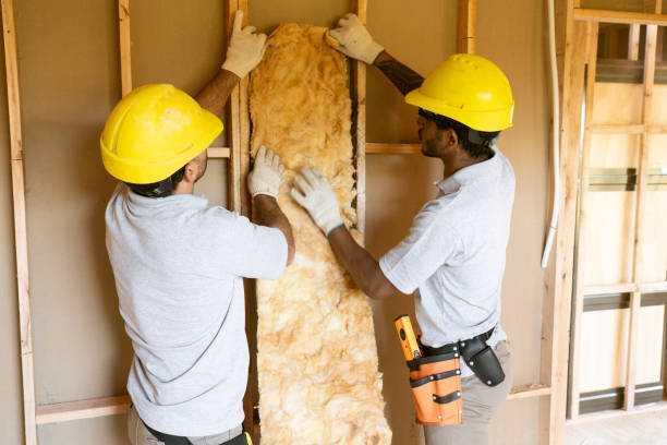 Best Energy-efficient Insulation  in Holts Summit, MO