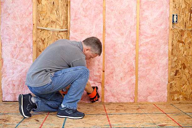 Best Blown-in Insulation  in Holts Summit, MO