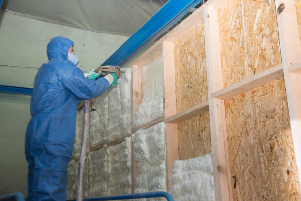 Best Local Insulation Services  in Holts Summit, MO